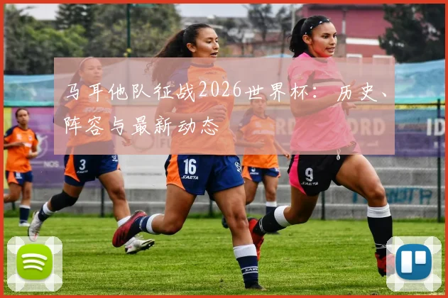 马耳他队征战2026世界杯:历史、阵容与最新动态